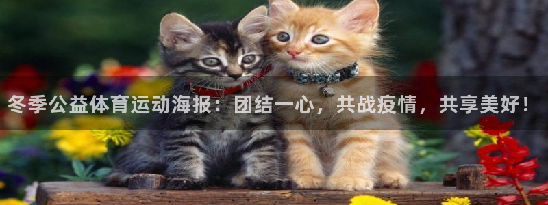 ug环球官网注册