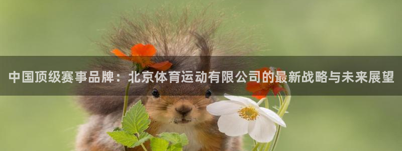 ug环球官网注册